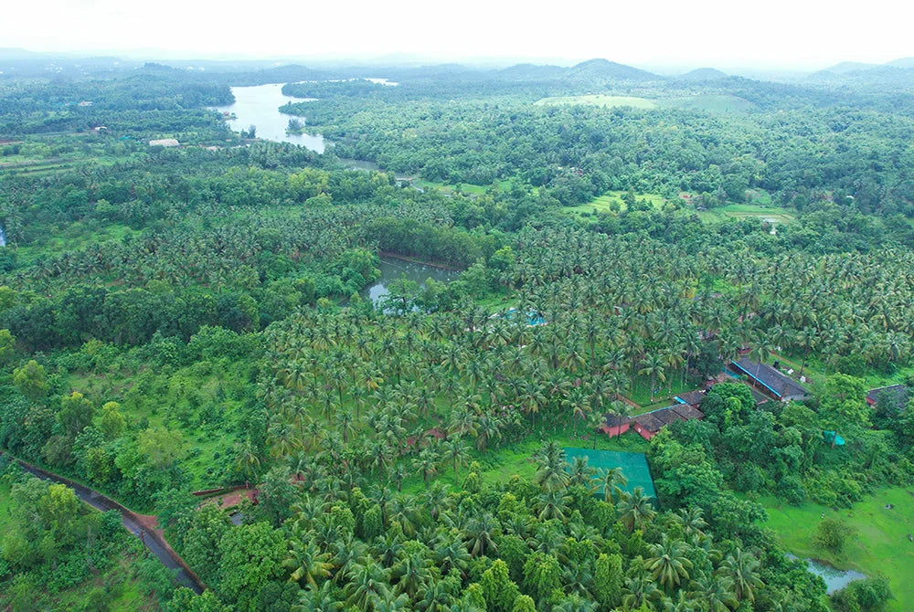 Singapore Balion Agrofoods Pvt. Ltd.
