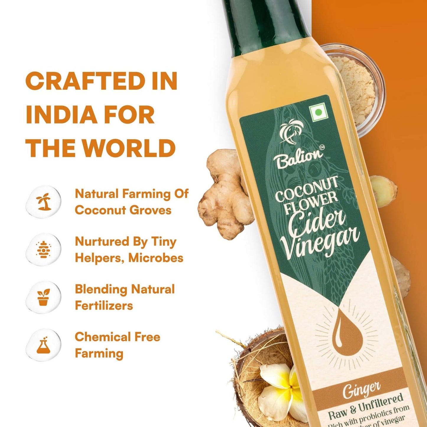 Coconut Flower Cider Vinegar - Ginger